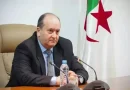 سيفي غريب يترأس اجتماع الحكومة لبحث ملفات الميزانية والانتخابات ومشاريع السكك الحديدية