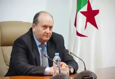 سيفي غريب يترأس اجتماع الحكومة لبحث ملفات الميزانية والانتخابات ومشاريع السكك الحديدية