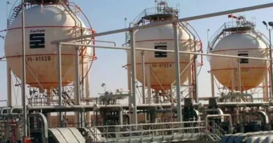 رئيس الجمهورية يؤكد على ضرورة مضاعفة الجهود لخلق نسيج صناعي متكامل في مجال البتروكيماويات رئيس الجمهورية يؤكد على ضرورة مضاعفة الجهود لخلق نسيج صناعي متكامل في مجال البتروكيماويات