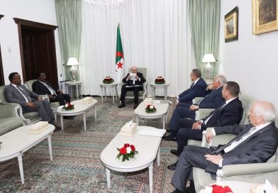 رئيس الجمهورية يستقبل وزير الداخلية والشؤون الفيدرالية الصومالي