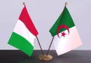انشاء مركز امتياز جزائري إيطالي ببعد إفريقي