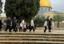 مستوطنون صهاينة يقتحمون المسجد الأقصى المبارك