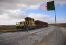 الرئيس تبون يثمن جهود قطاع الأشغال العمومية على الوتيرة العالية للمشاريع الاستراتيجية