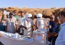 انطلاق عملية التصويت قبل 48 ساعة بعدد من ولايات الجنوب