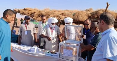 انطلاق عملية التصويت قبل 48 ساعة بعدد من ولايات الجنوب
