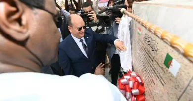 سيفي غريب يشرف بنيامي على تدشين محطة توليد الكهرباء للتضامن الجزائري-النيجري