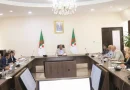 تقييم مشاريع 2026 والتحضير لبرامج استثمارية جديدة