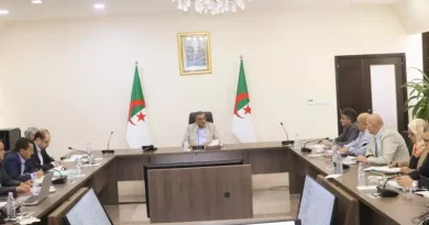 تقييم مشاريع 2026 والتحضير لبرامج استثمارية جديدة