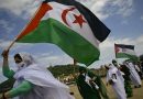 إيطاليا تأكيد متجدد على دعم حق الشعب الصحراوي في تقرير المصير والاستقلال