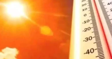 استمرار موجة الحر بعدة ولايات من الوطن إلى غاية يوم الثلاثاء استمرار موجة الحر بعدة ولايات من الوطن إلى غاية يوم الثلاثاء