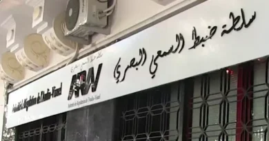السلطة الوطنية المستقلة لضبط السمعي البصري  تسجل إخلالا بقواعد التعامل الإنساني مع الأزمات من قبل بعض القنوات