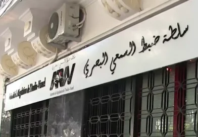 السلطة الوطنية المستقلة لضبط السمعي البصري  تسجل إخلالا بقواعد التعامل الإنساني مع الأزمات من قبل بعض القنوات