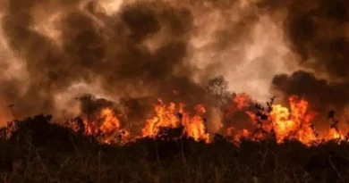 اليونان: اندلاع حرائق غابات جديدة في وسط وجنوب البلاد اليونان: اندلاع حرائق غابات جديدة في وسط وجنوب البلاد