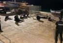 إسبانيا: توقيف 11 شخصا بعد إحباط عملية لتهريب الحشيش القادم من المغرب إلى  جزر الكناري