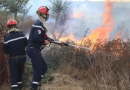 إندلاع 3 حرائق بسطيف وبجاية والجلفة