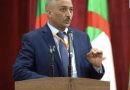 دحماني يدعو إلى مراجعة برامج تكوين الصحفيين لمواكبة الذكاء الاصطناعي