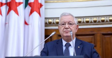 مجلس الأمة يصادق بالإجماع على إرسال وحدات من الجيش الوطني الشعبي إلى النيجر