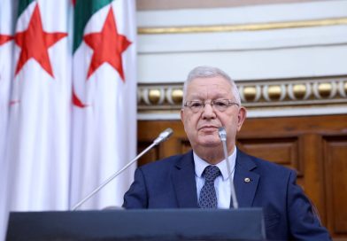 مجلس الأمة يصادق بالإجماع على إرسال وحدات من الجيش الوطني الشعبي إلى النيجر