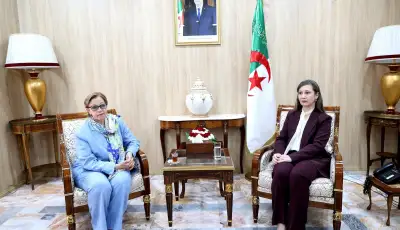 ضمانات دستور 2020 في صلب التنسيق بين بوفدش وساحلي