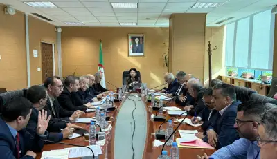 أمال عبد اللطيف تضبط تحضيرات تموين السوق خلال رمضان  أ